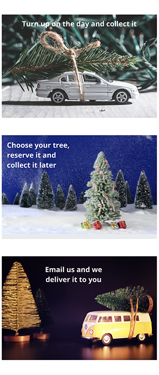 3 ways to get your tree
